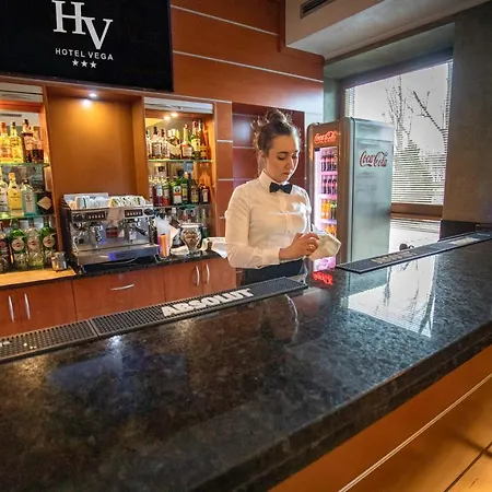 Отель Business Vega 3*
