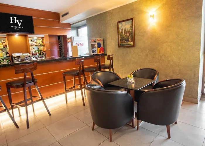 Business Vega Hotel 3*