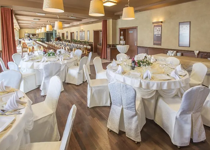 Business Vega Wrocław